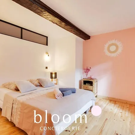 Magnifique Logement Vieille Apartment