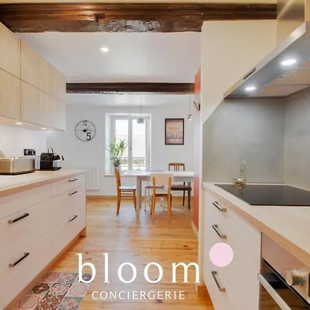 Apartment Magnifique Logement Vieille Nancy