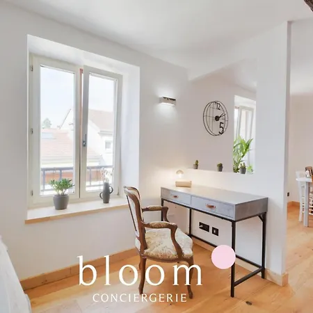 Apartment Magnifique Logement Vieille *