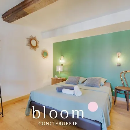Magnifique Logement Vieille Apartment Nancy