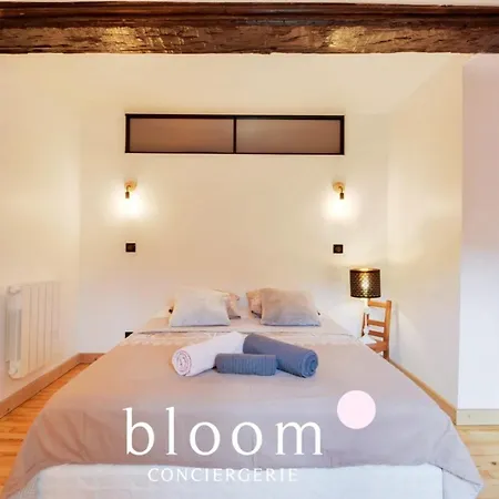 Magnifique Logement Vieille *