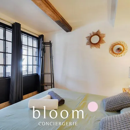Magnifique Logement Vieille Nancy