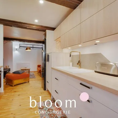 Magnifique Logement Vieille