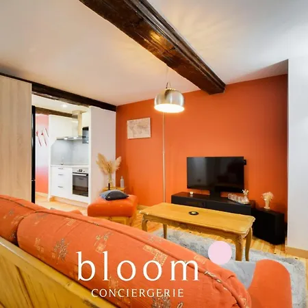 Apartment Magnifique Logement Vieille *